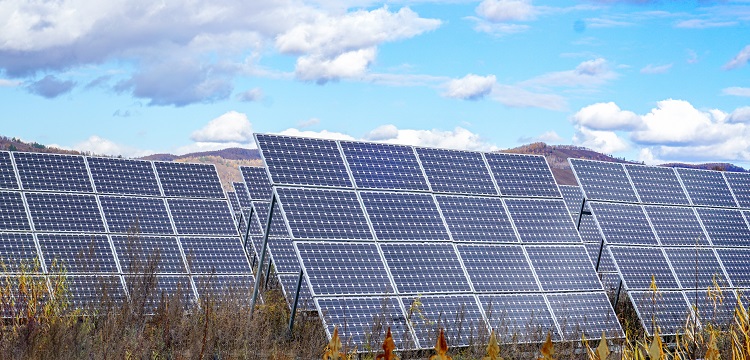 紡織品防螨檢測(cè)-專(zhuān)業(yè)除螨防螨檢測(cè)機(jī)構(gòu)