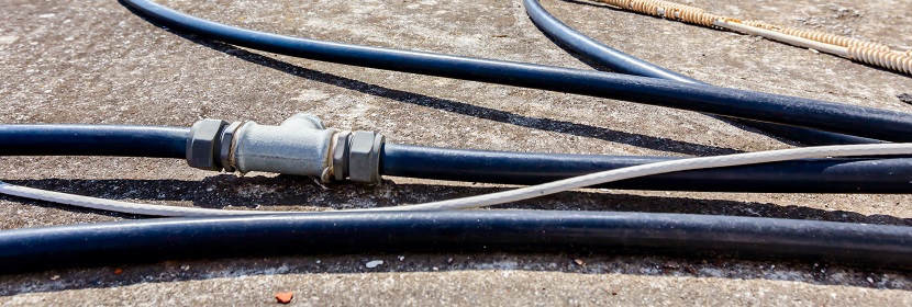 病毒檢測與細菌檢測有何不同??SAA——判斷病毒感染靈敏而可靠的檢測指標(biāo)