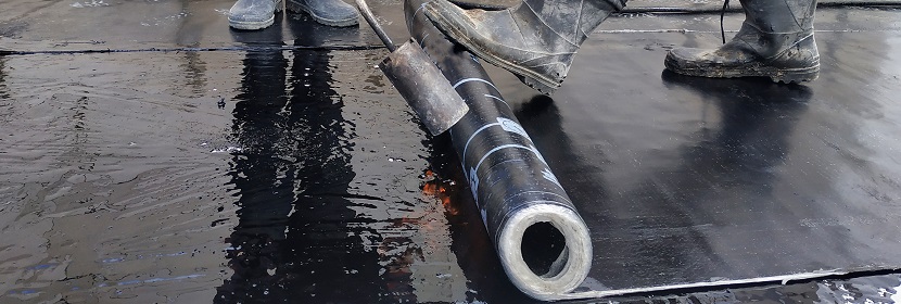 肥料養分快速檢測保持土壤營養的均衡?