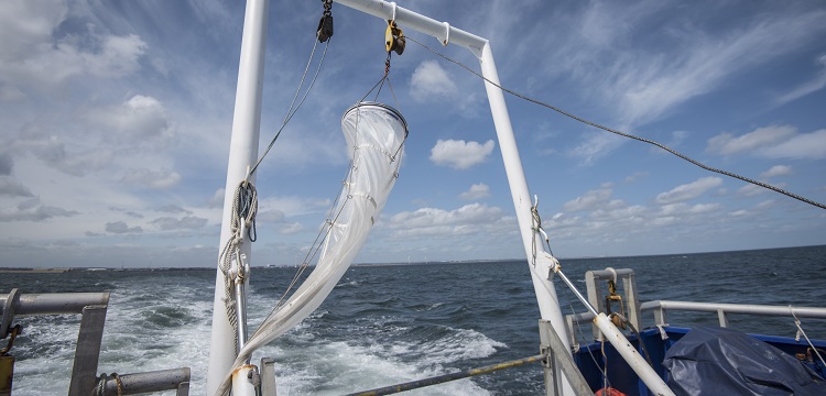 食品接觸材料檢測項目大匯總！