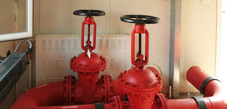 微生物安全健康網(wǎng)，微生物檢測如何規(guī)范操作 ?在微生物檢測實踐中，什么時候需要檢測參考菌群 參考菌群的檢測有何意義 ?健明迪