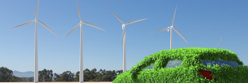 葉片含量檢測(cè)