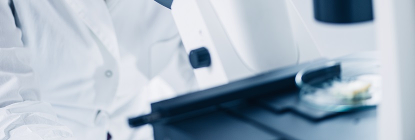 粘接劑檢測(cè)