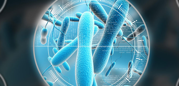 臭氧催化劑檢測