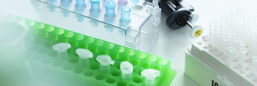 鐵素體含量測(cè)試