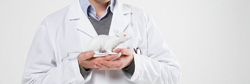 急性經(jīng)口毒性試驗(yàn)