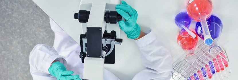 聚丙烯微孔發泡片板材檢測